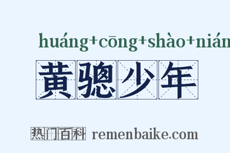 黄骢少年是什么意思的图片